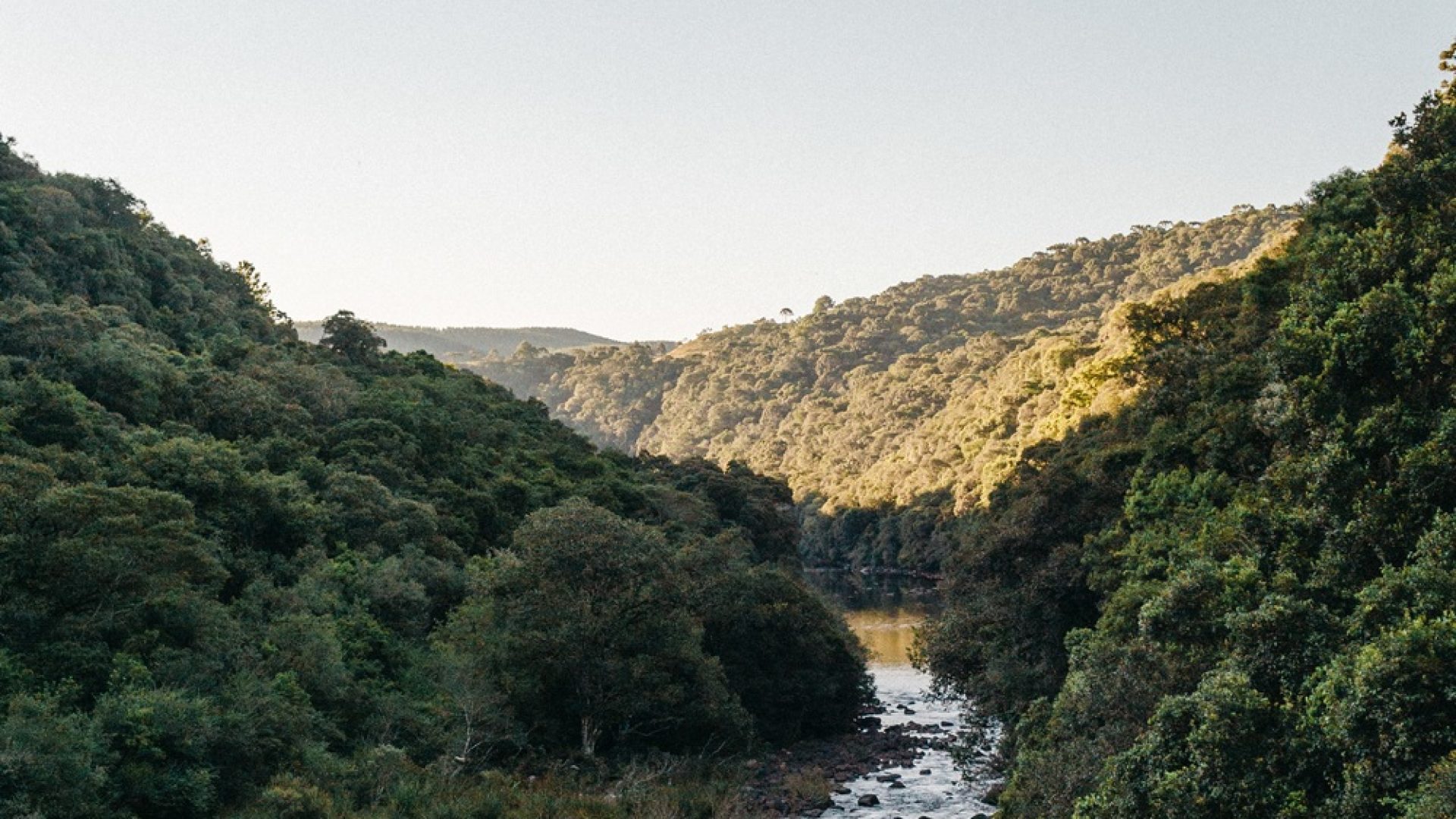 A vertical shot of a flowing river surrounded by mountains with a clear sky in the background